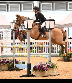 Lucie Williamson & Carrowbeg Suzie qualify for the Royal International Horse Show 2024 at Aintree Small Pony Premier Lucie Williamson & Carrowbeg Suzie qualify for the Royal International Horse Show 2024 at Aintree Small Pony Premier